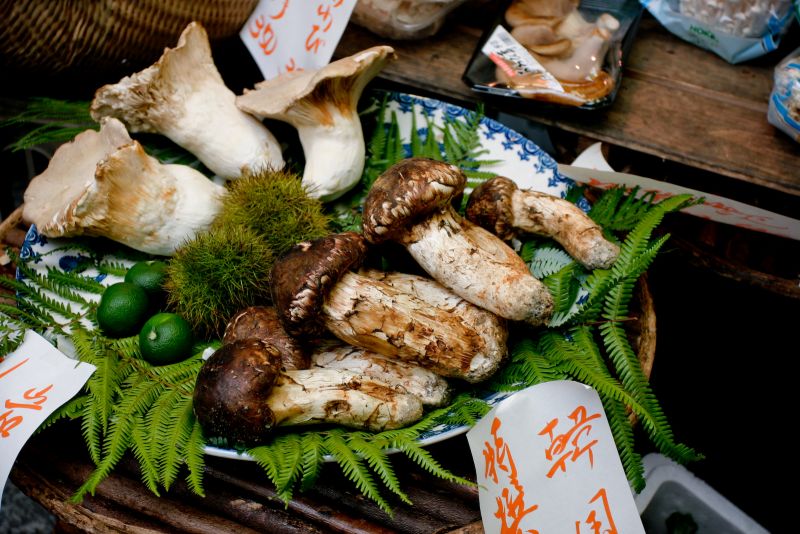 Nấm Matsutake Món ăn ngon Nhật Bản vào mùa thu.