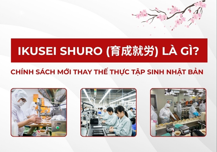 Ikusei Shuro (育成就労) là gì? Chính sách mới thay thế Thực tập sinh Nhật Bản